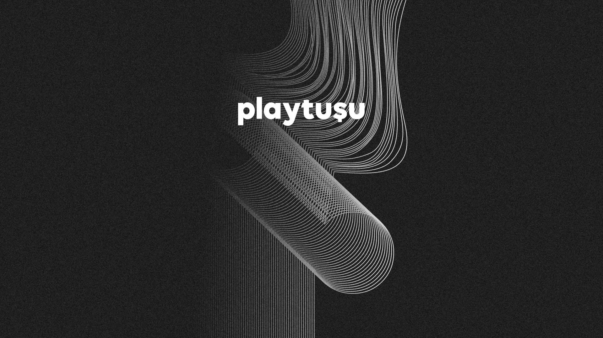 playtusu bes poster