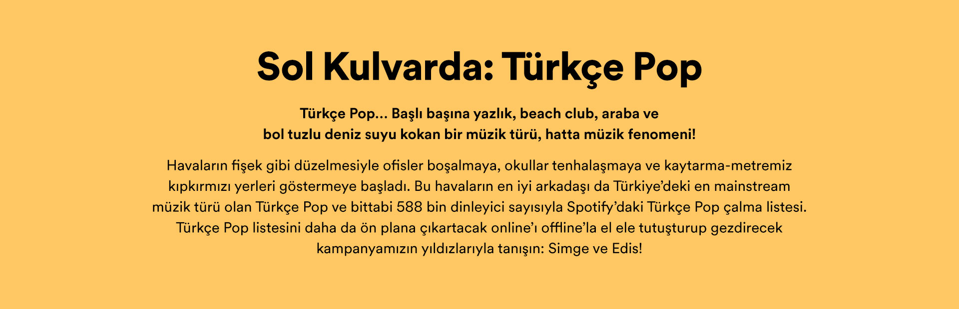 02_Spotify_Turkce_Pop_Sunum_02